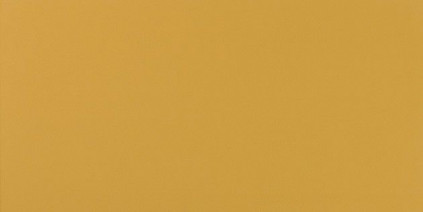 Настенная плитка Arkshade Yellow 40х80 см