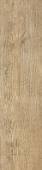 Плитка Axi Golden Oak Strutturato 22.5х90
