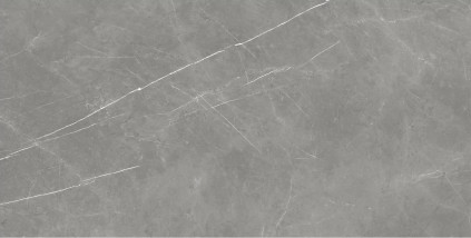 Керамогранит Forte dei Marmi Elegant Grey Lapp 80x160 см