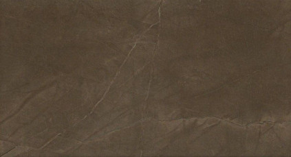 Настенная плитка Marvel Bronze Luxury 30.5х56 см