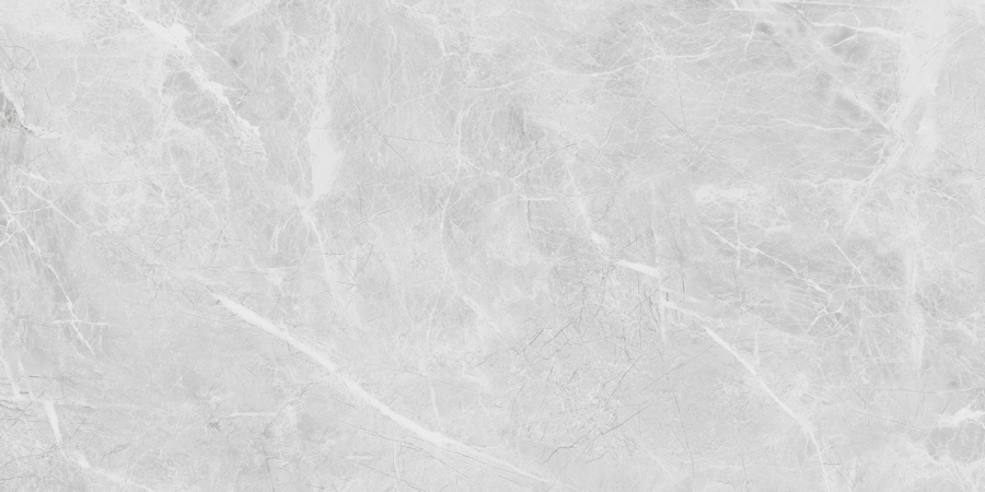  Belvedere Eva Grey Polished 60x120