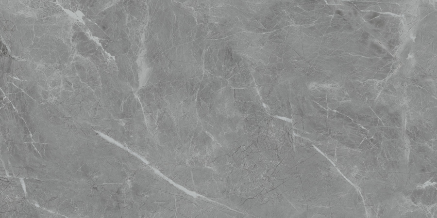  Belvedere Eva Gris Polished 60x120