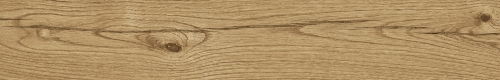  Delaware Natural Matt 19.3x120