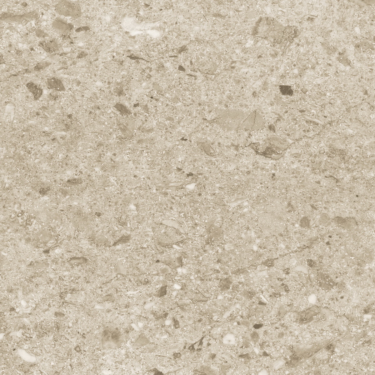  Silk Canyon Sand Matt 60x60