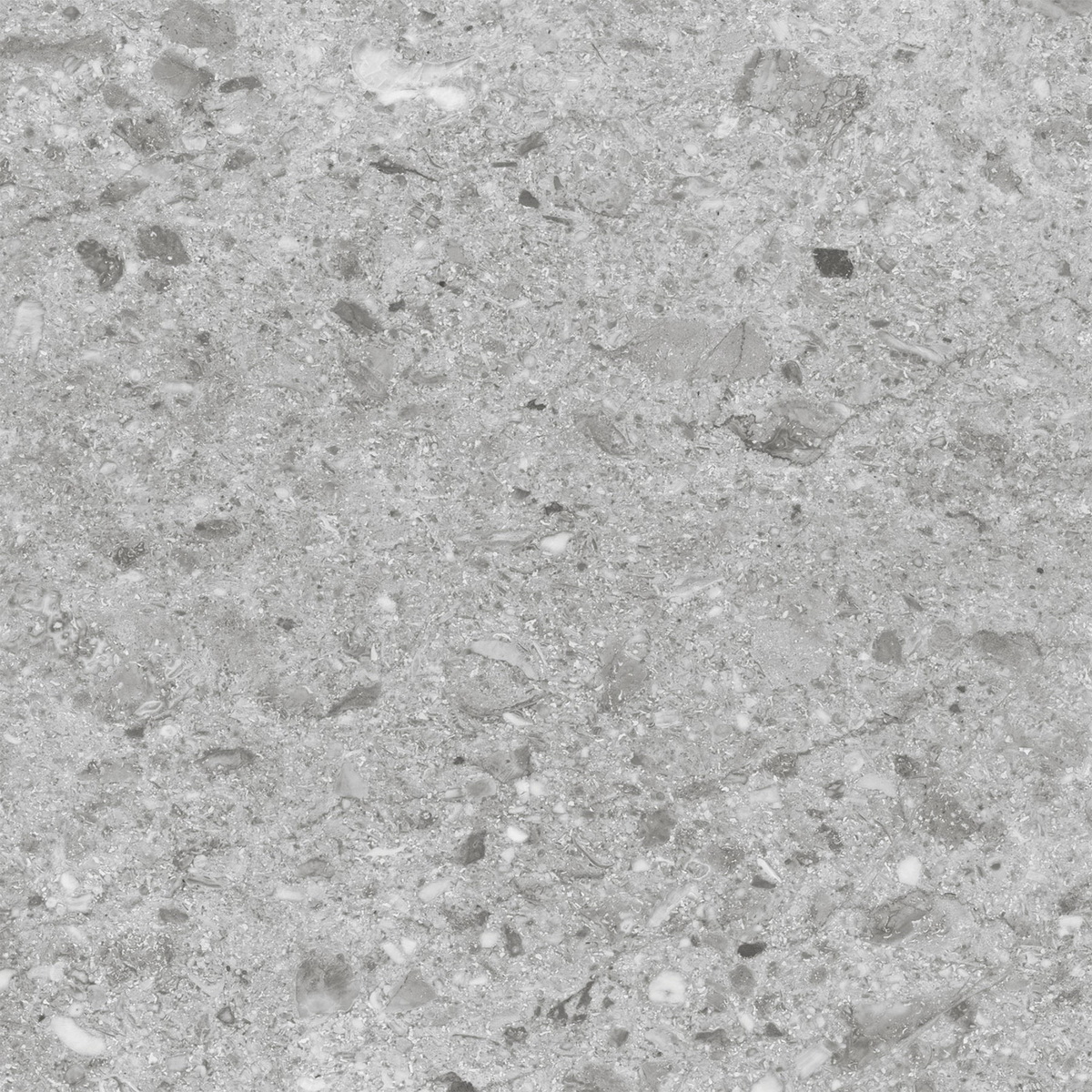  Silk Canyon Silver Matt 60x60