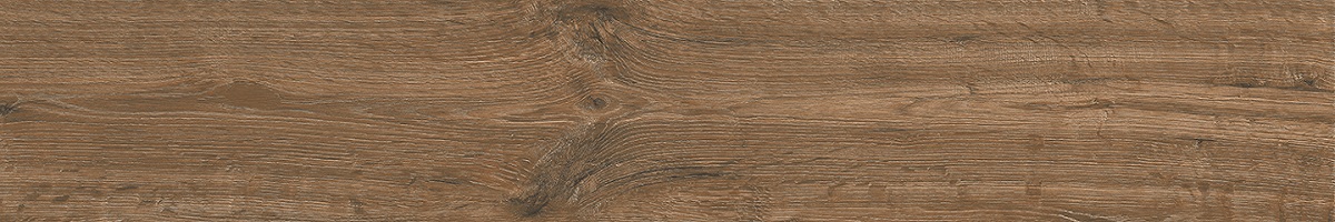  Forest Miel Matt 20x120