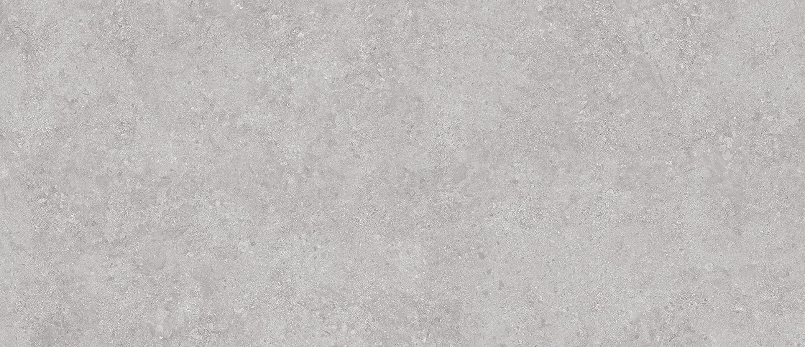  Matt Onega Grey Xylotech 120x278