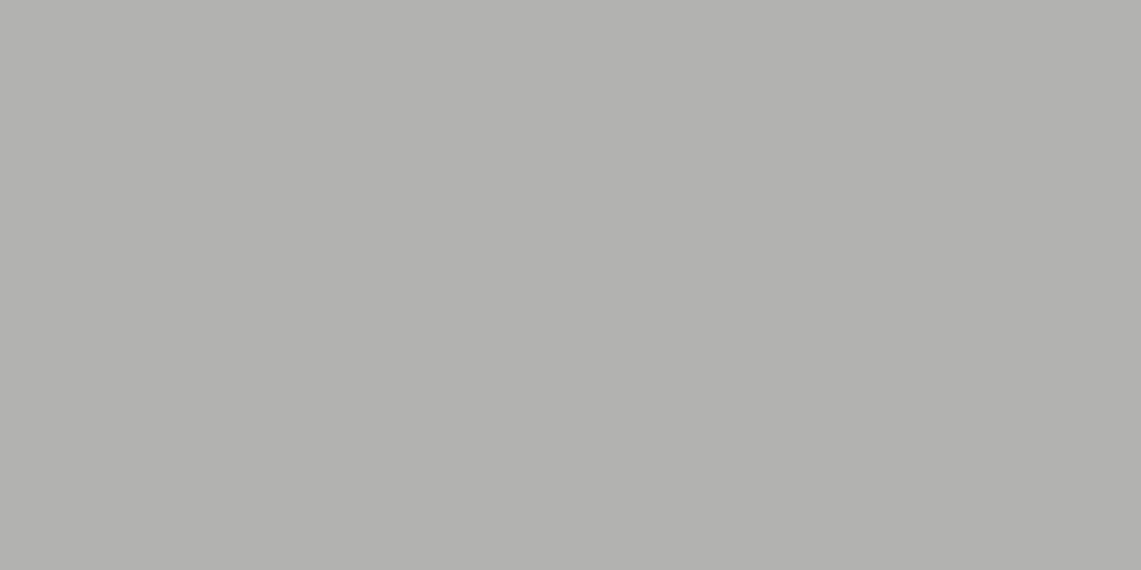  Monocolors Mono Grey Matt 160x320