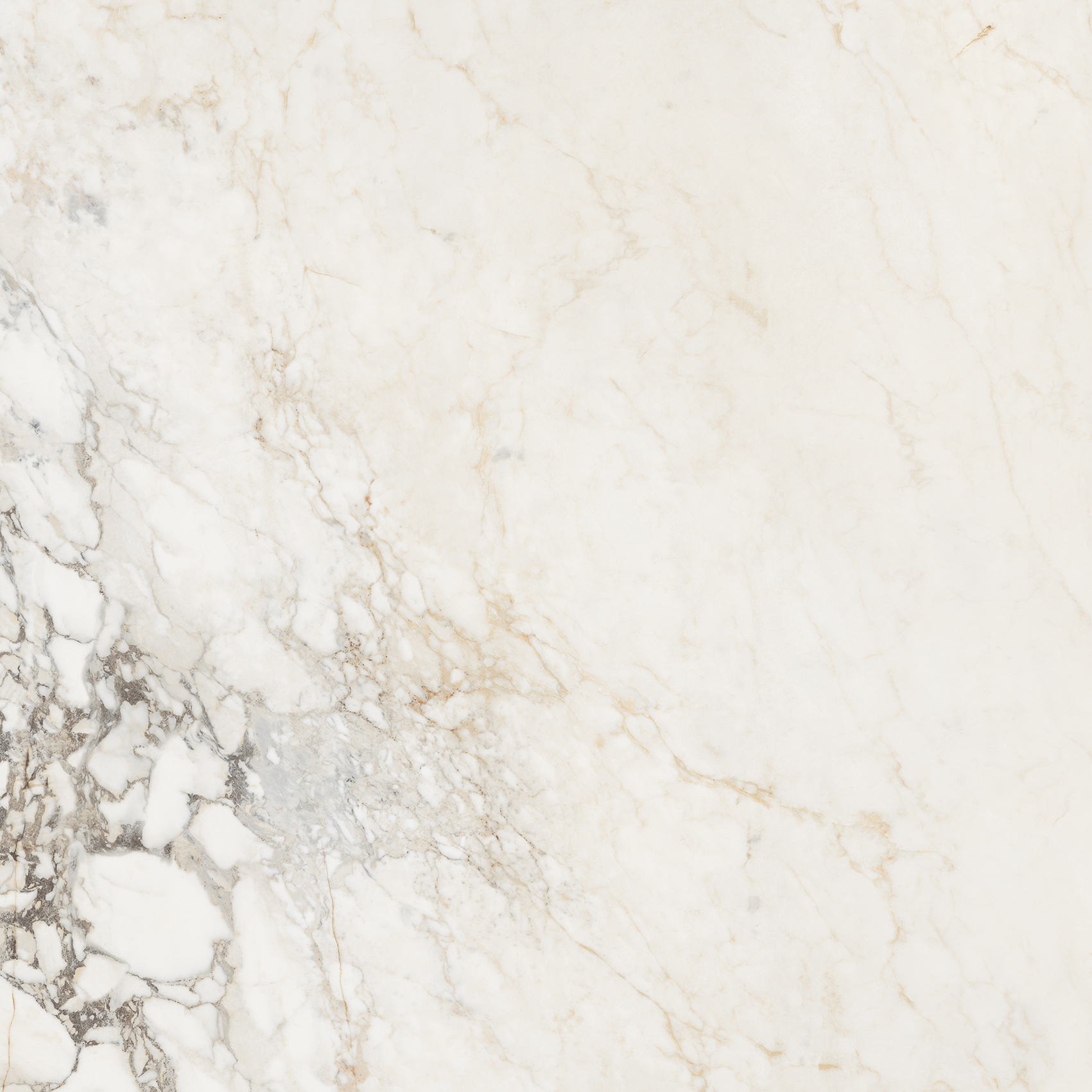  Polished Black Marquina Polished 160x320