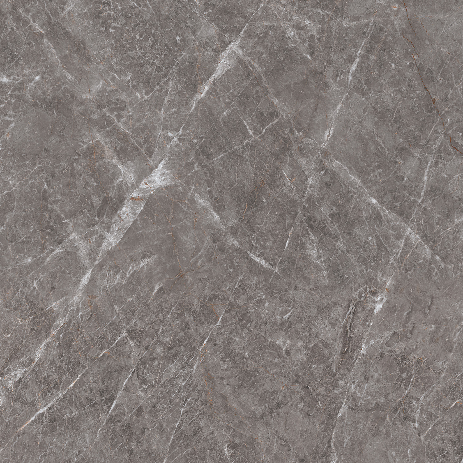  Polished Tundra Gris Luminous 120x120