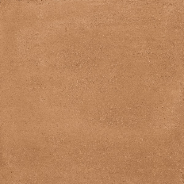  Concept Mustard 19.8x19.8