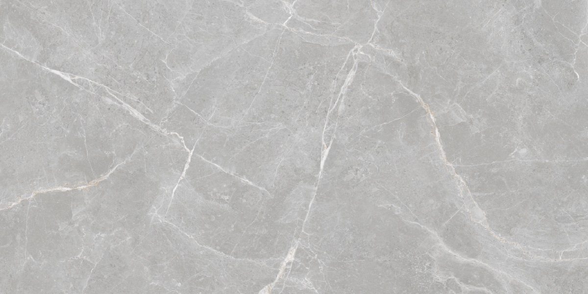  Rizzi Patricia Grey Matt 60x120