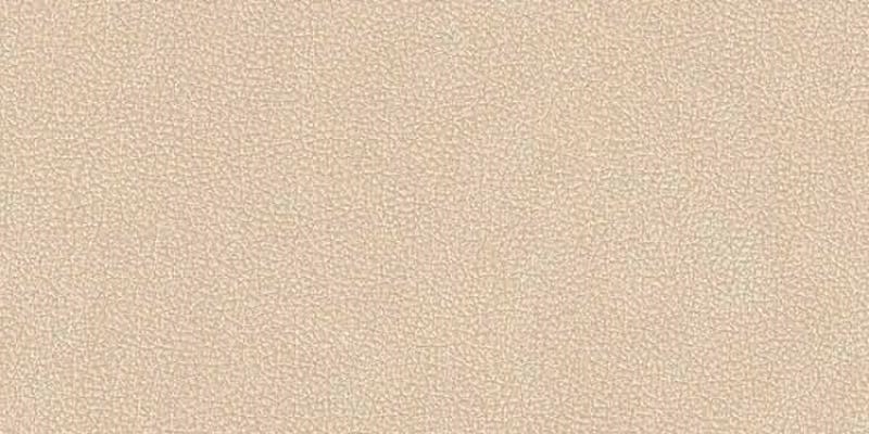  Leatherwood Cuir Beige Nat.3D 60x120