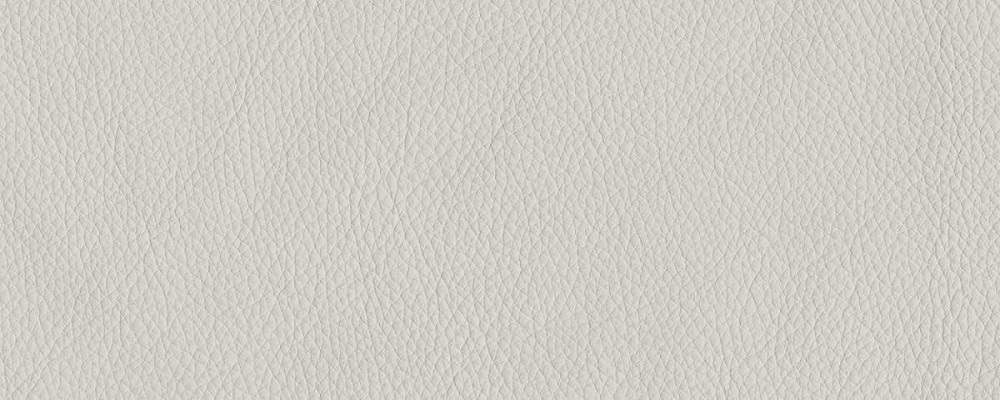  Кожаная серия 3017 110x300