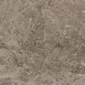 Плитка Victory Taupe Lap 60x60