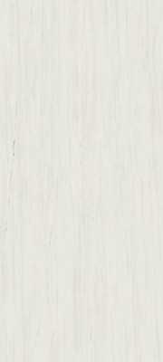 Керамогранит Marvel Bianco Dolomite Lappato (AO5X) 320x160 см