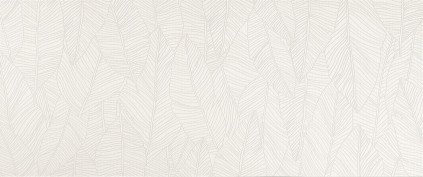 Настенная плитка Aplomb White Leaf 50x120 см